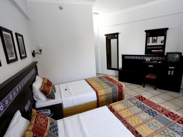 Big Blue Sky Hotel - All Inclusive : photo 4 de la chambre chambre double ou lits jumeaux standard avec balcon