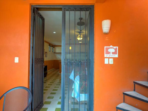 Hotel Luz en Yucatan : photo 1 de la chambre chambre triple - vue sur la piscine