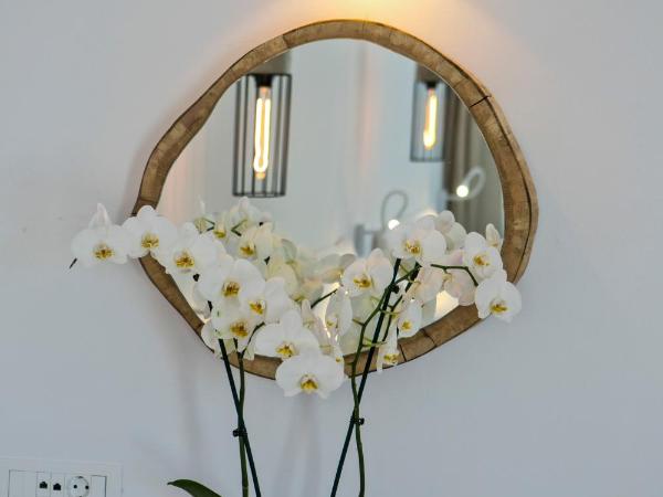 Nida Mykonos : photo 7 de la chambre chambre triple deluxe