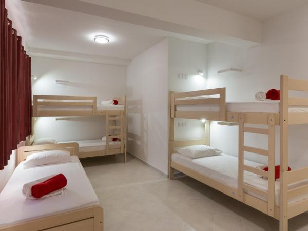 Hostel Free Bird : photo 8 de la chambre lit dans dortoir mixte de 7 lits