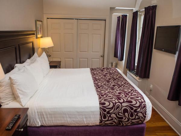 Lamothe House Hotel a French Quarter Guest Houses Property : photo 8 de la chambre chambre lit king-size deluxe