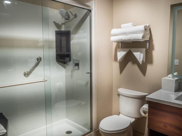 Skyline Hotel and Casino : photo 2 de la chambre hébergement classique complet