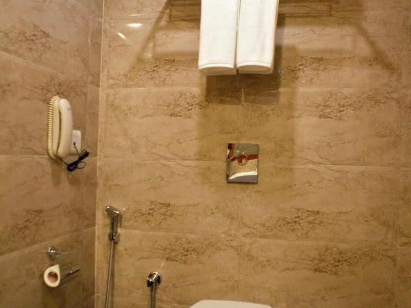 Lemon Tree Hotel Shimona Chennai : photo 4 de la chambre chambre double ou lits jumeaux affaires