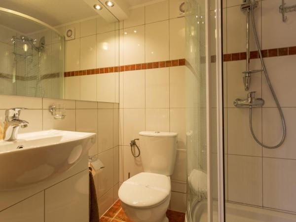 Rezydencja Bambi : photo 5 de la chambre mini apartament economy 