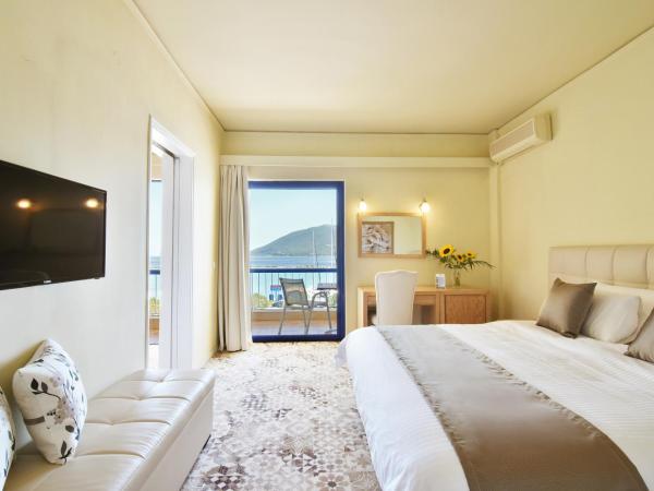 Ionion Star Hotel : photo 4 de la chambre suite senior