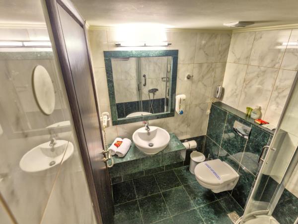 Sofia Hotel : photo 6 de la chambre chambre simple