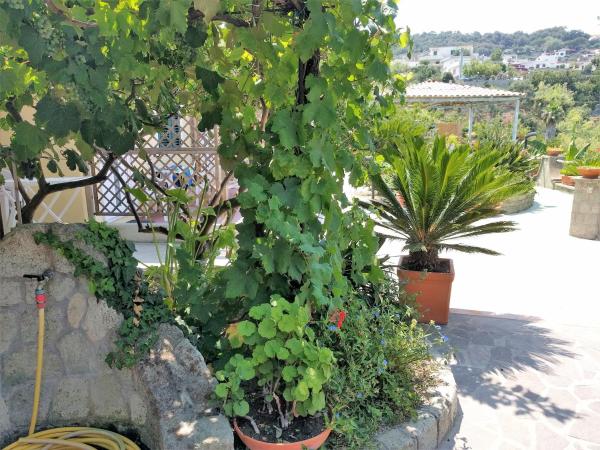 Residence Giardino del Sole : photo 9 de la chambre chambre double avec balcon - vue sur mer