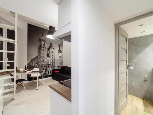 2 Nights Apartments - great location, right next to Main Rail and Bus Station, 10 min to Main Square by foot : photo 3 de la chambre appartement en duplex