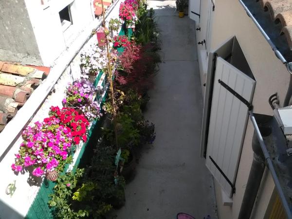 Le Parisien : photo 6 de la chambre chambre simple avec salle de bains commune