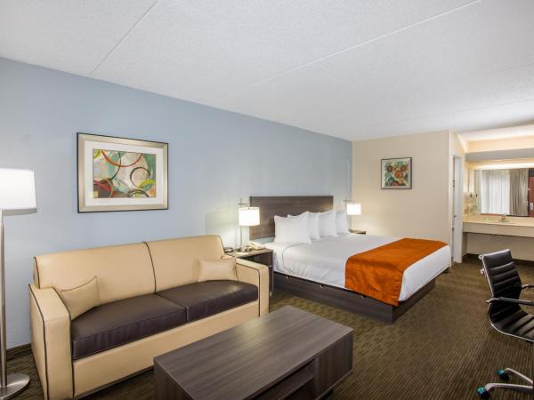 Days Inn & Suites by Wyndham Orlando Airport : photo 2 de la chambre suite 1 chambre lit king-size - non-fumeurs