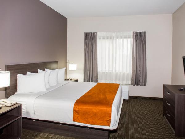 Days Inn & Suites by Wyndham Orlando Airport : photo 2 de la chambre chambre lit king-size - non-fumeurs