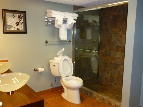 Sandcastle Resort : photo 10 de la chambre studio lit king-size