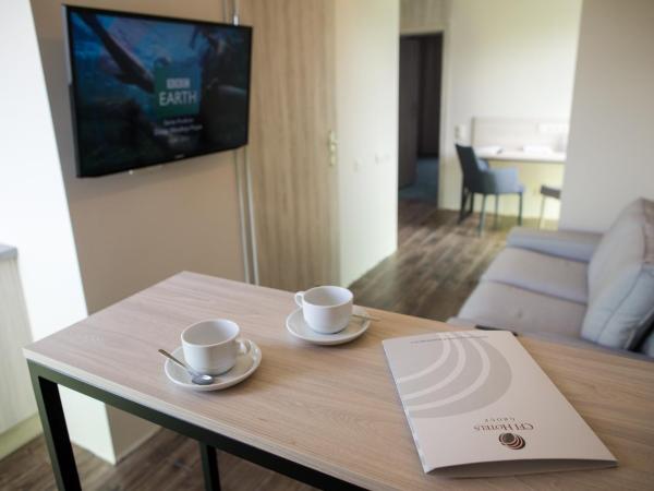 Citi Hotel's Wrocław : photo 9 de la chambre appartement