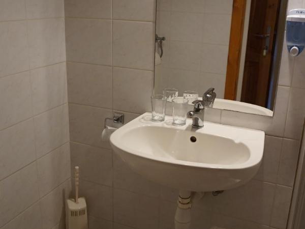 Hajdú Kastély Hotel : photo 5 de la chambre chambre double