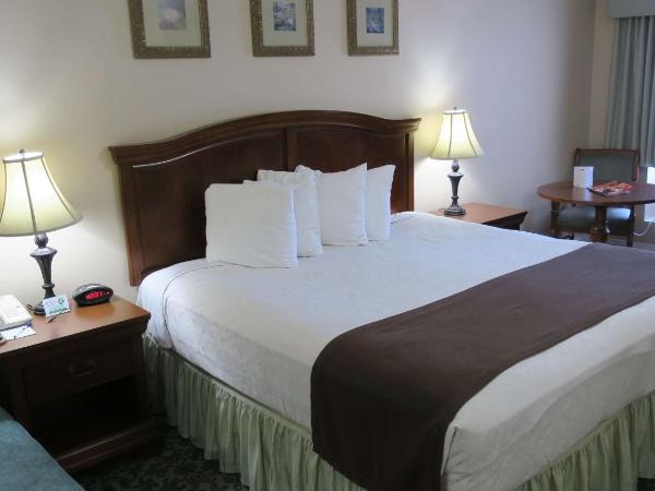 Best Western Plus French Quarter Courtyard Hotel : photo 1 de la chambre chambre lit king-size exécutive