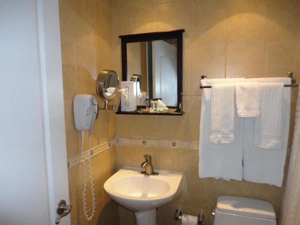 Chateau Louis Hotel & Conference Centre : photo 1 de la chambre chambre lit king-size