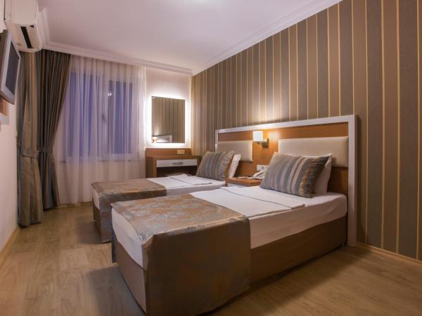 Lonicera City Hotel : photo 5 de la chambre chambre double ou lits jumeaux standard