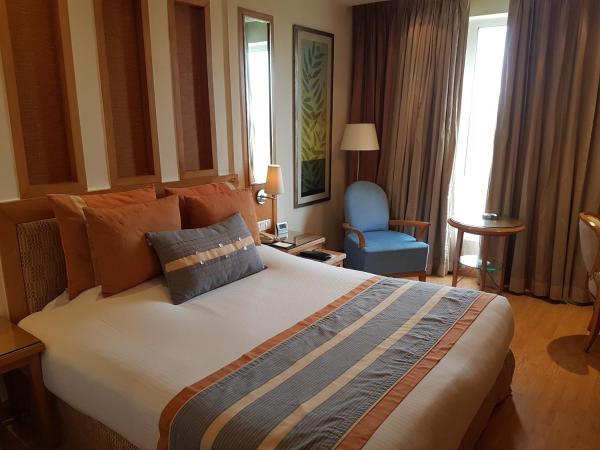 Dia Park Premier : photo 3 de la chambre chambre lit king-size de luxe - non-fumeurs