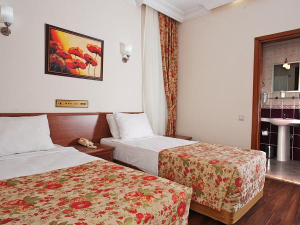 Triana Hotel : photo 6 de la chambre chambre double ou lits jumeaux standard