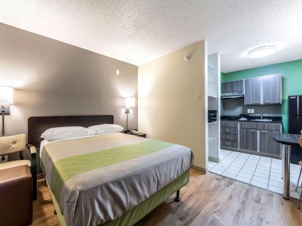 Studio 6-Dallas, TX - Northwest : photo 5 de la chambre chambre lit queen-size - non-fumeurs