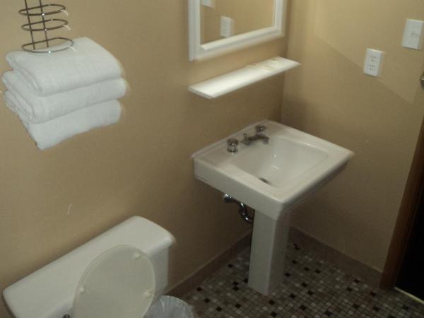 Oasis Motel by The Falls : photo 2 de la chambre suite familiale