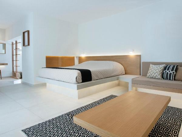 Andronikos Hotel : photo 7 de la chambre junior suite / garden view