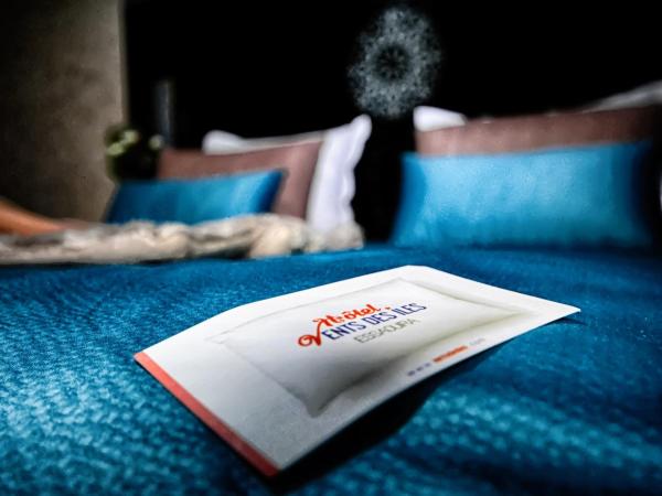 Hotel Vents Des Iles : photo 6 de la chambre chambre double standard