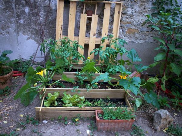 Art Home BnB : photo 6 de la chambre appartement - vue sur jardin
