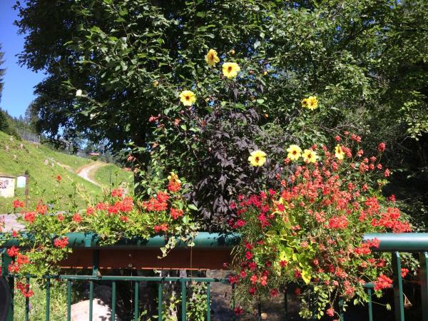 Au Bois de Lune : photo 8 de la chambre chambre familiale avec balcon