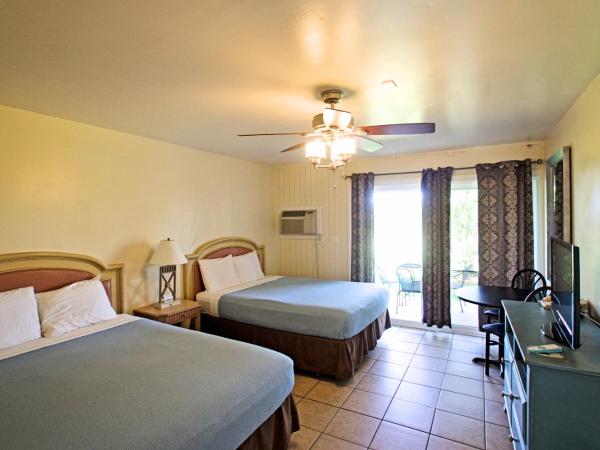 Ocean Villa Inn : photo 4 de la chambre hébergement avec 2 lits queen-size et terrasse - animaux domestiques acceptés