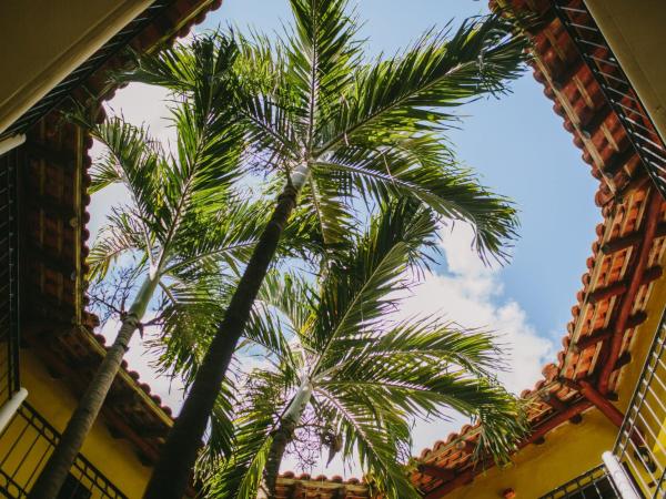 Occidental Cozumel - All Inclusive : photo 3 de la chambre chambre double deluxe