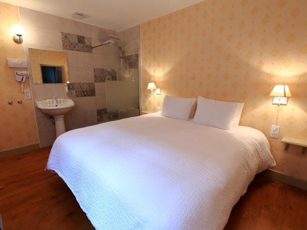 Hotel Saint Georges : photo 8 de la chambre appartement avec balcon