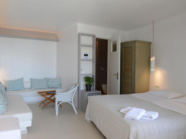 Mykonos View Hotel : photo 1 de la chambre chambre double supérieure
