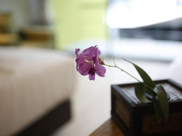 The White Elephant Home : photo 6 de la chambre chambre double deluxe