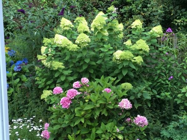 Bed & Breakfast Bigalke : photo 5 de la chambre chambre double - vue sur jardin