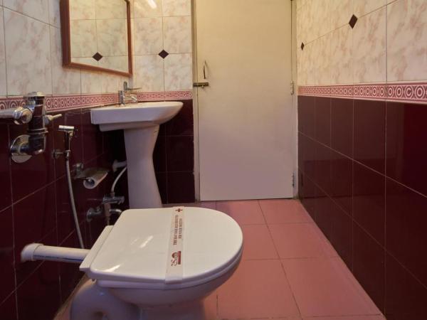 Hotel Swan Inn : photo 1 de la chambre chambre double exécutive climatisée