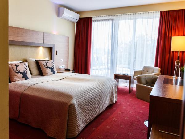 Hotel Salzburg : photo 8 de la chambre chambre double affaires