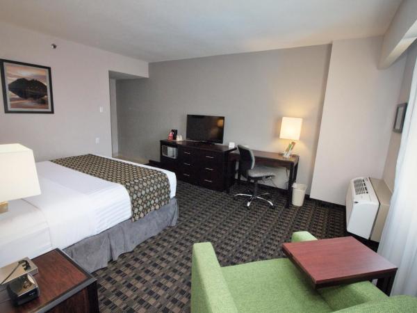 CHN Hotel Monterrey Norte, Trademark Collection by Wyndham : photo 4 de la chambre chambre lit king-size - non-fumeurs