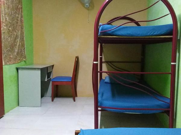 Oasis Guest House : photo 1 de la chambre chambre triple avec salle de bains commune et climatisation