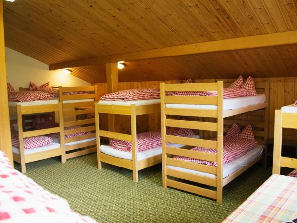 Berggasthaus First - Only Accessible by Cable Car : photo 2 de la chambre lit simple en dortoir