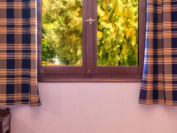 Poco Loco Bed & Breakfast : photo 5 de la chambre city room view