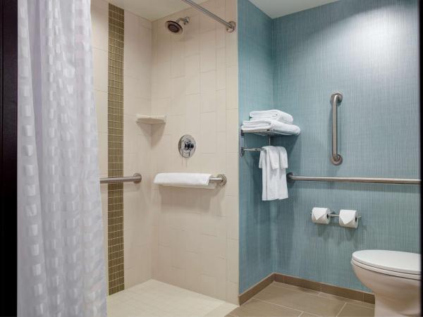 Hyatt Place Arlington Courthouse : photo 8 de la chambre chambre 2 lits queen-size avec douche accessible en fauteuil roulant - accessible aux personnes à mobilité réduite
