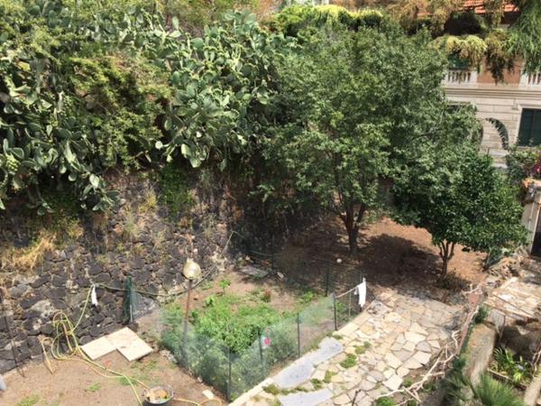 L'Oasi : photo 3 de la chambre suite 2 chambres