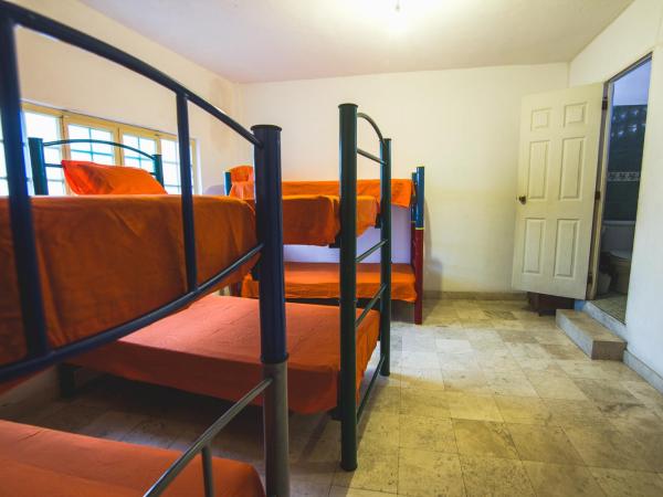 Oasis Hostel : photo 1 de la chambre lit simple dans dortoir pour femmes