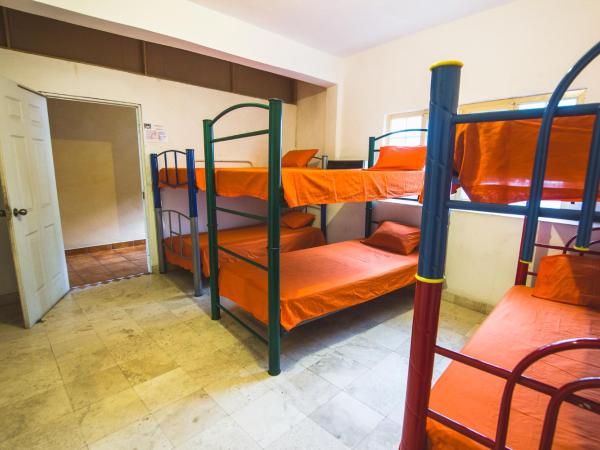 Oasis Hostel : photo 2 de la chambre lit simple dans dortoir pour femmes