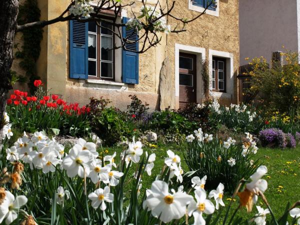 La Foyère : photo 1 de la chambre chambre double