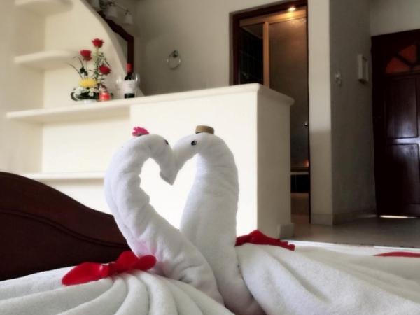 Villas Coco Resort - All Suites : photo 5 de la chambre suite lit king-size avec baignoire spa