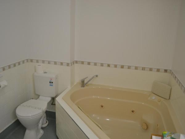 Colonial Lodge Motel : photo 10 de la chambre appartement 1 chambre