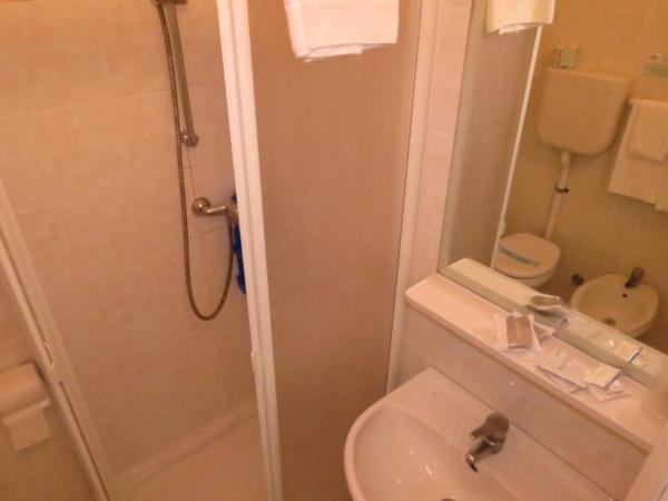 Hotel Gemini : photo 6 de la chambre chambre double ou lits jumeaux classique