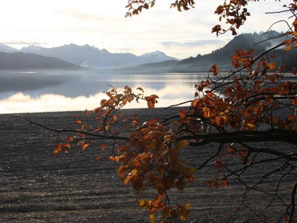 Cabañas Lemu Hue : photo 4 de la chambre bungalow 1 chambre